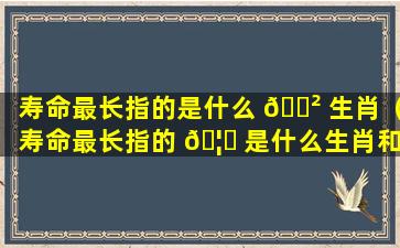 寿命最长指的是什么 🌲 生肖（寿命最长指的 🦁 是什么生肖和动物）